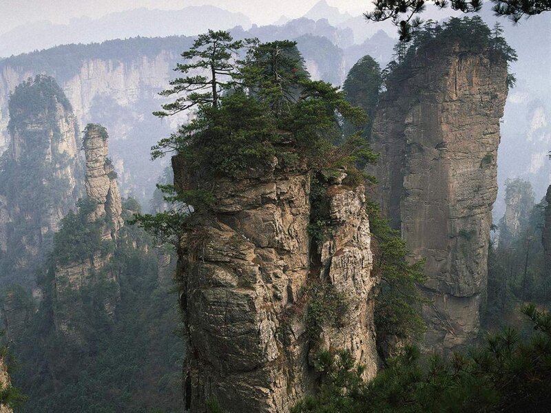 Pine trees on rock pillars