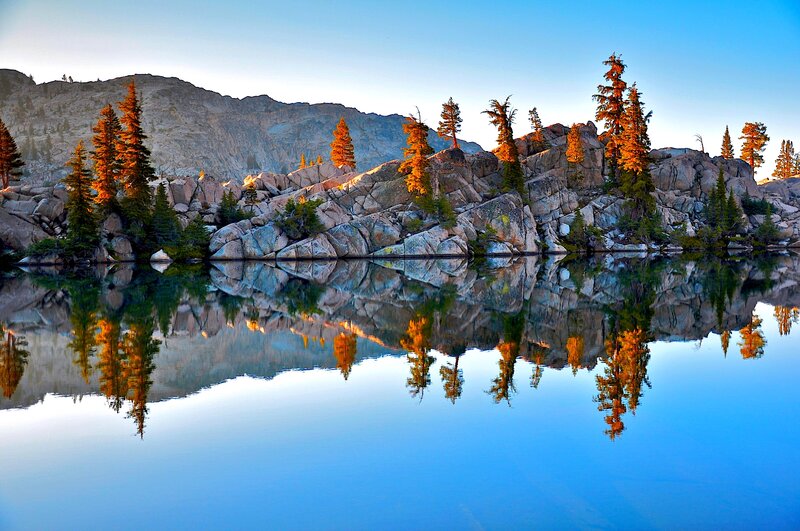 Pine Trees on Rocks — Blue