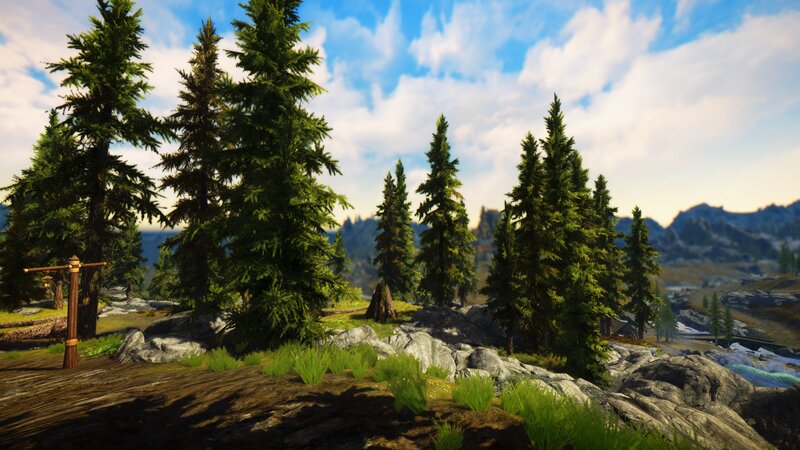 Pine Trees on Rocky Hill — Green
