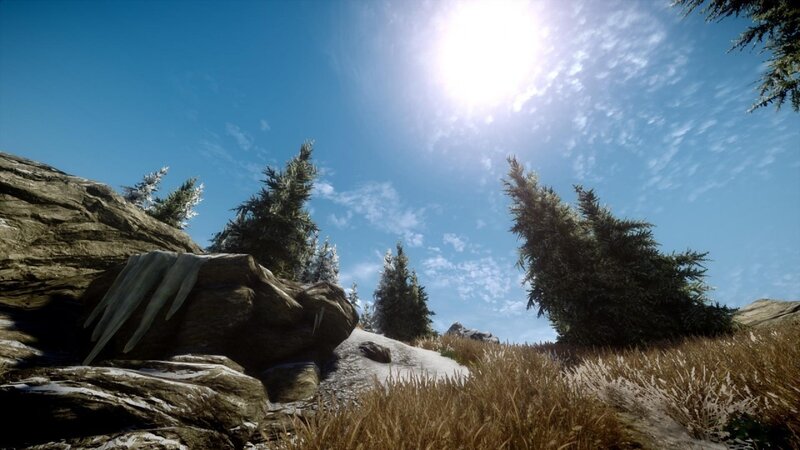 Pine Trees on Rocky Hill