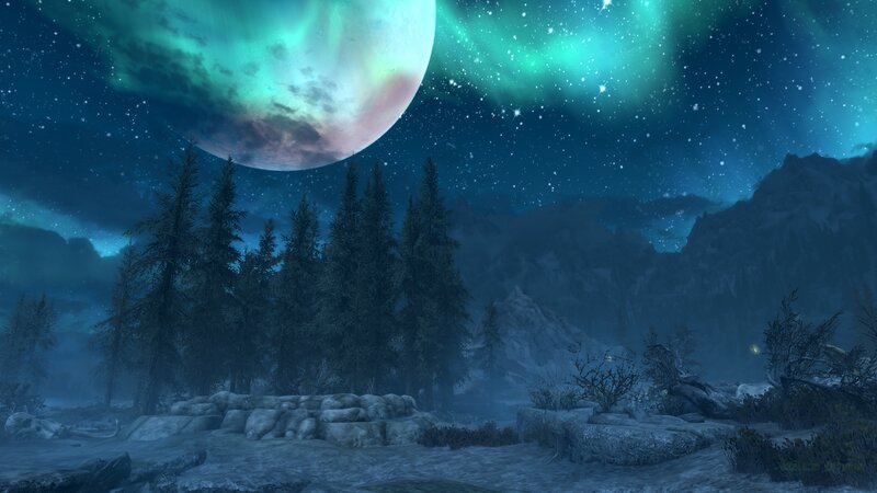 Pine Trees under Aurora