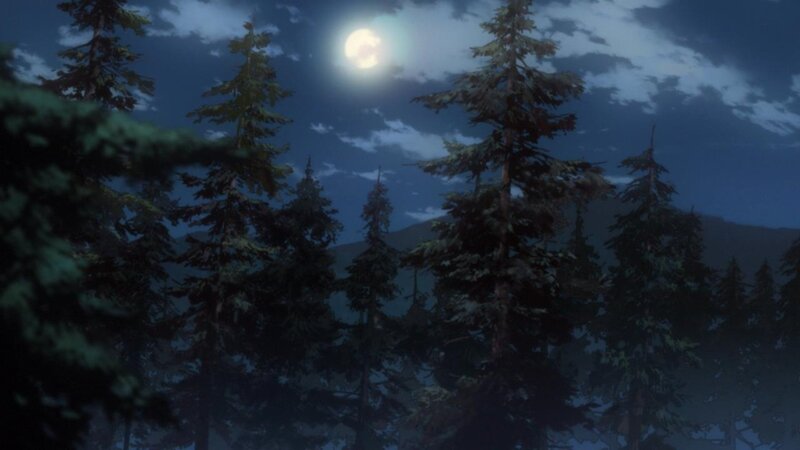 Pine Trees under Moonlight