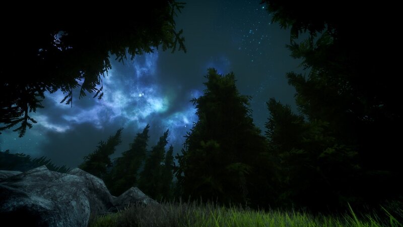 Pine Trees under Night Sky