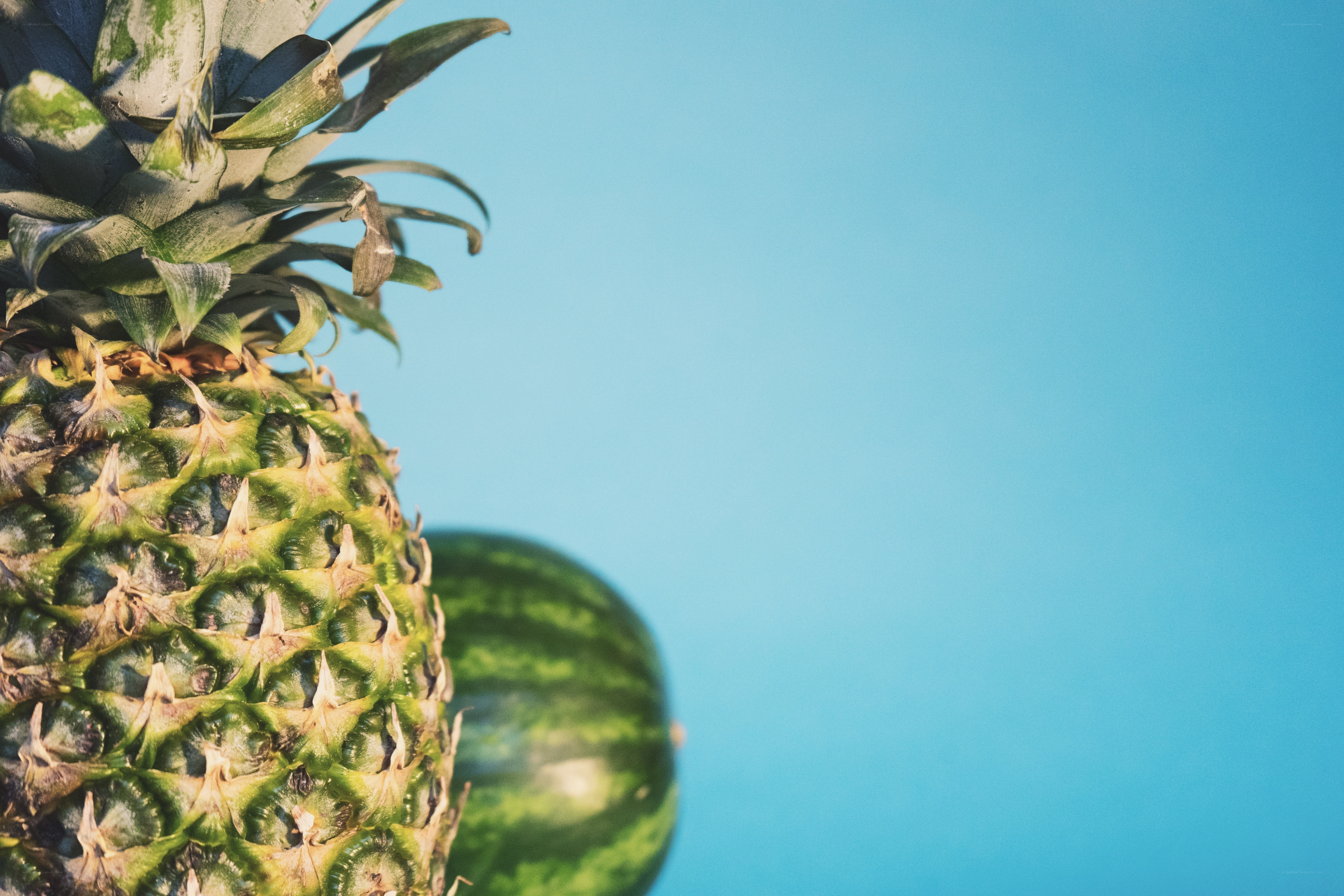 Pineapple and watermelon on blue