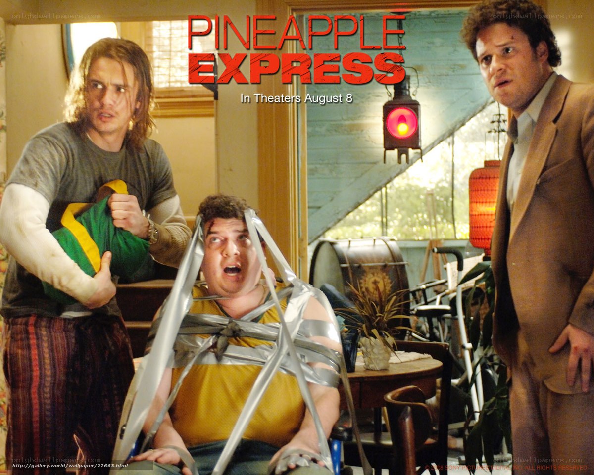 Pineapple Express movie scene