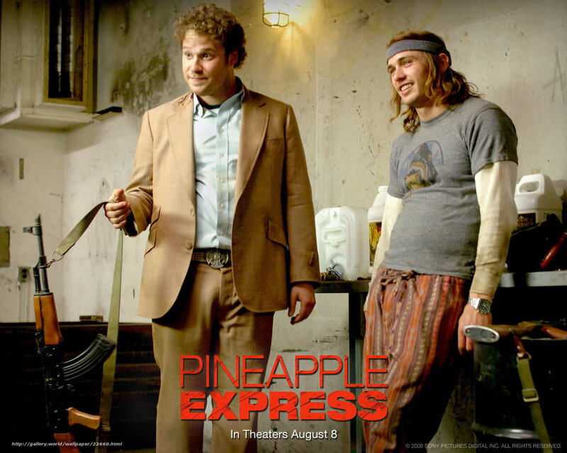 Pineapple Express movie scene