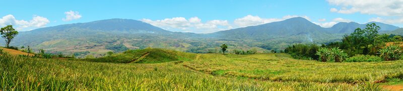 Pineapple Fields and Mountains