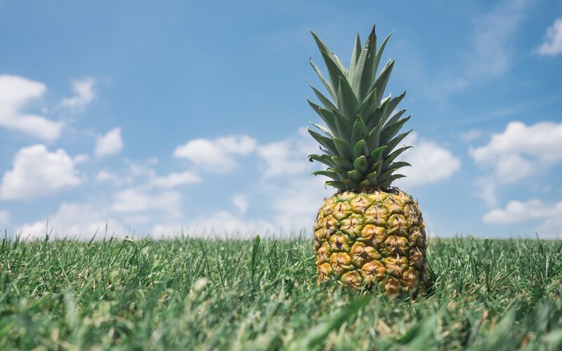 Pineapple in Grass — Green, Serene