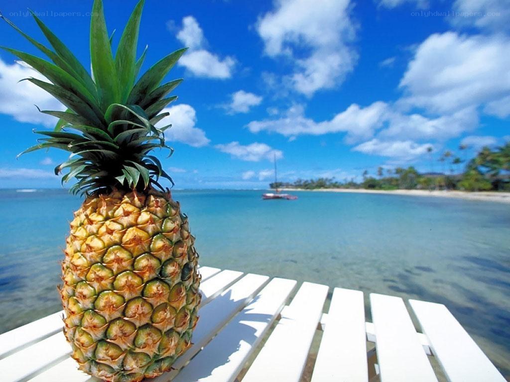 Pineapple on a beach bench