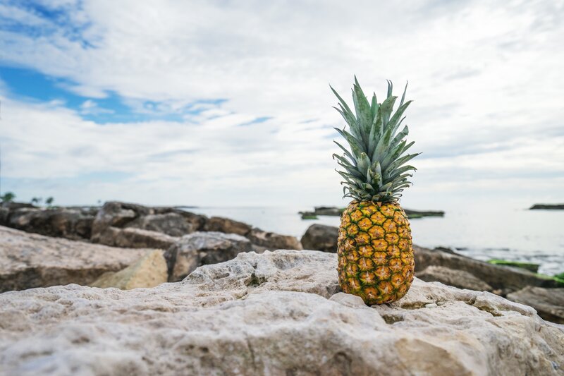 Pineapple on a rocky beach