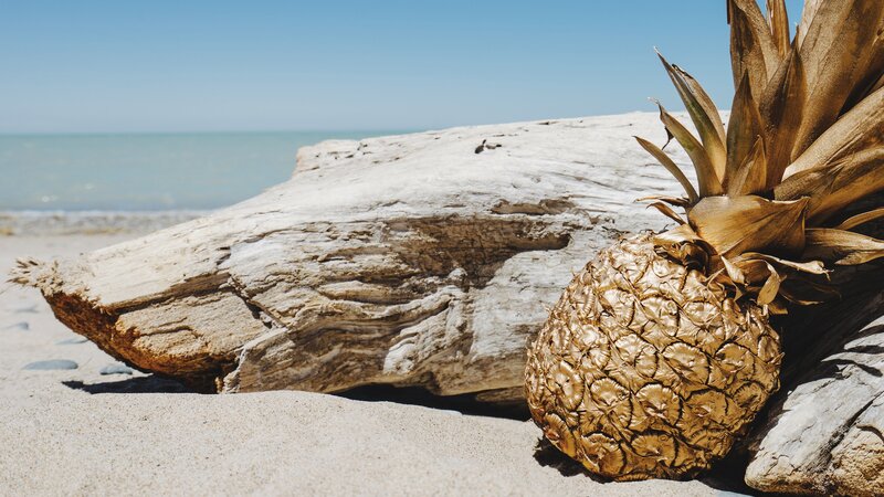 Pineapple on Beach — Brown