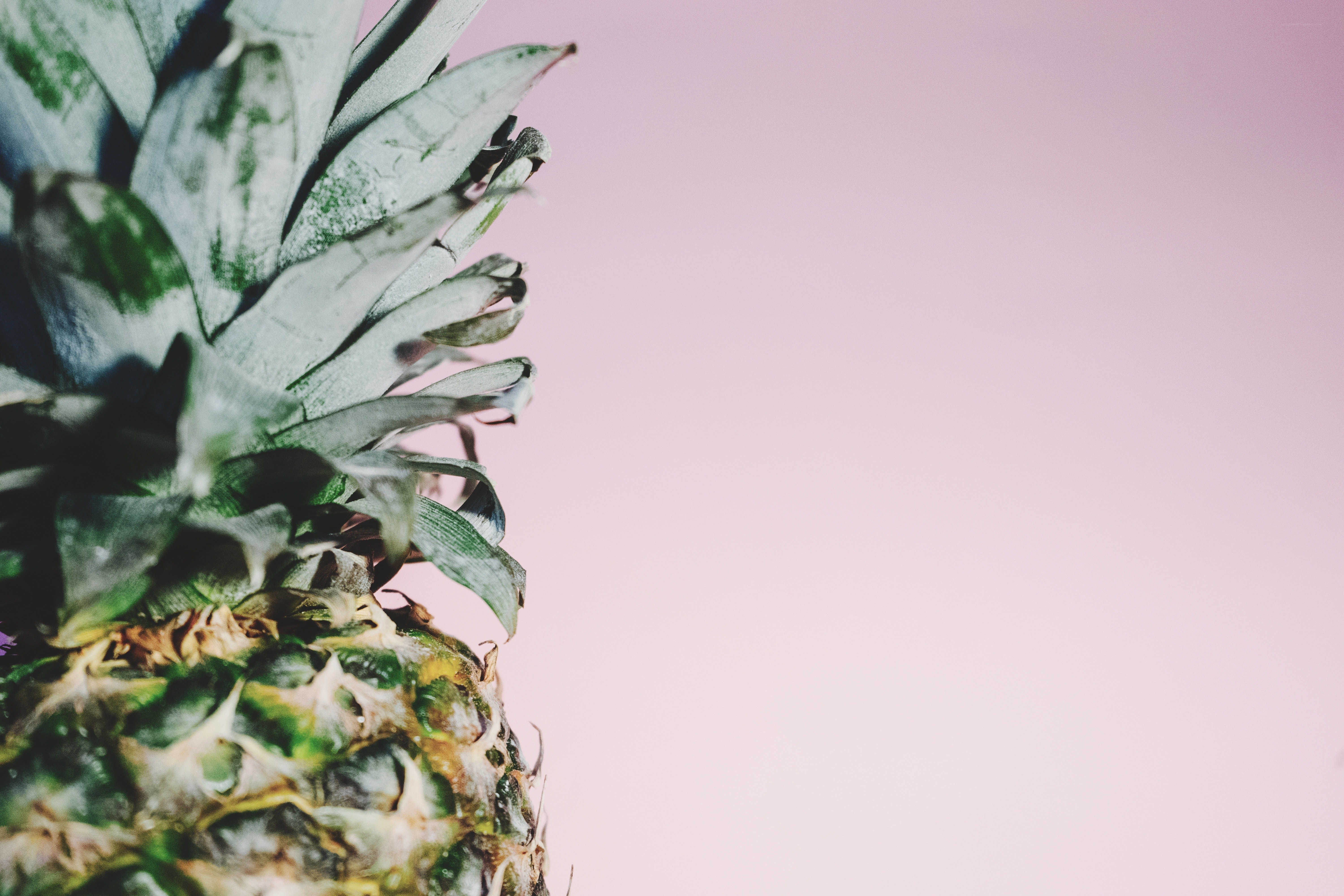 Pineapple on pink background