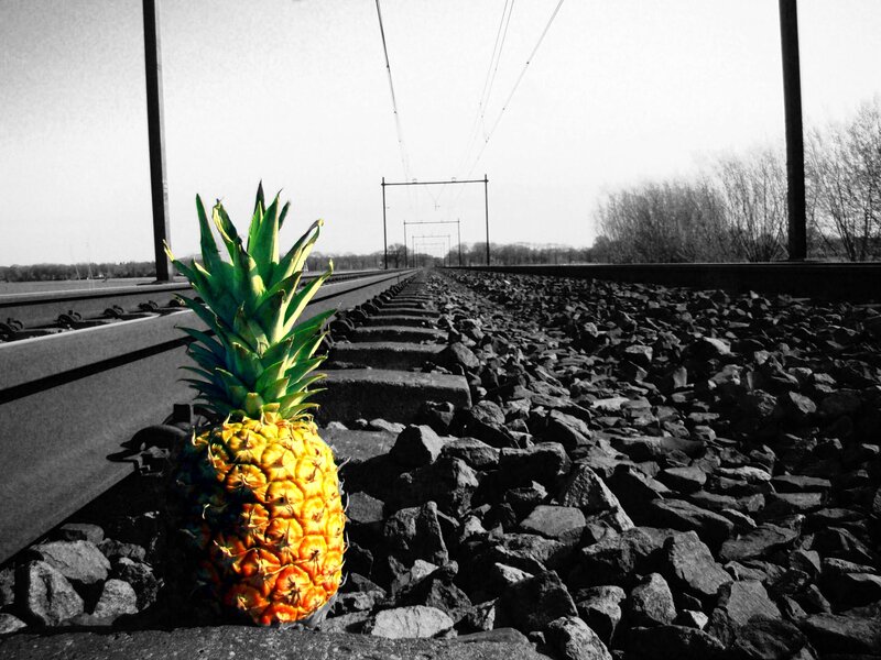 Pineapple on train tracks
