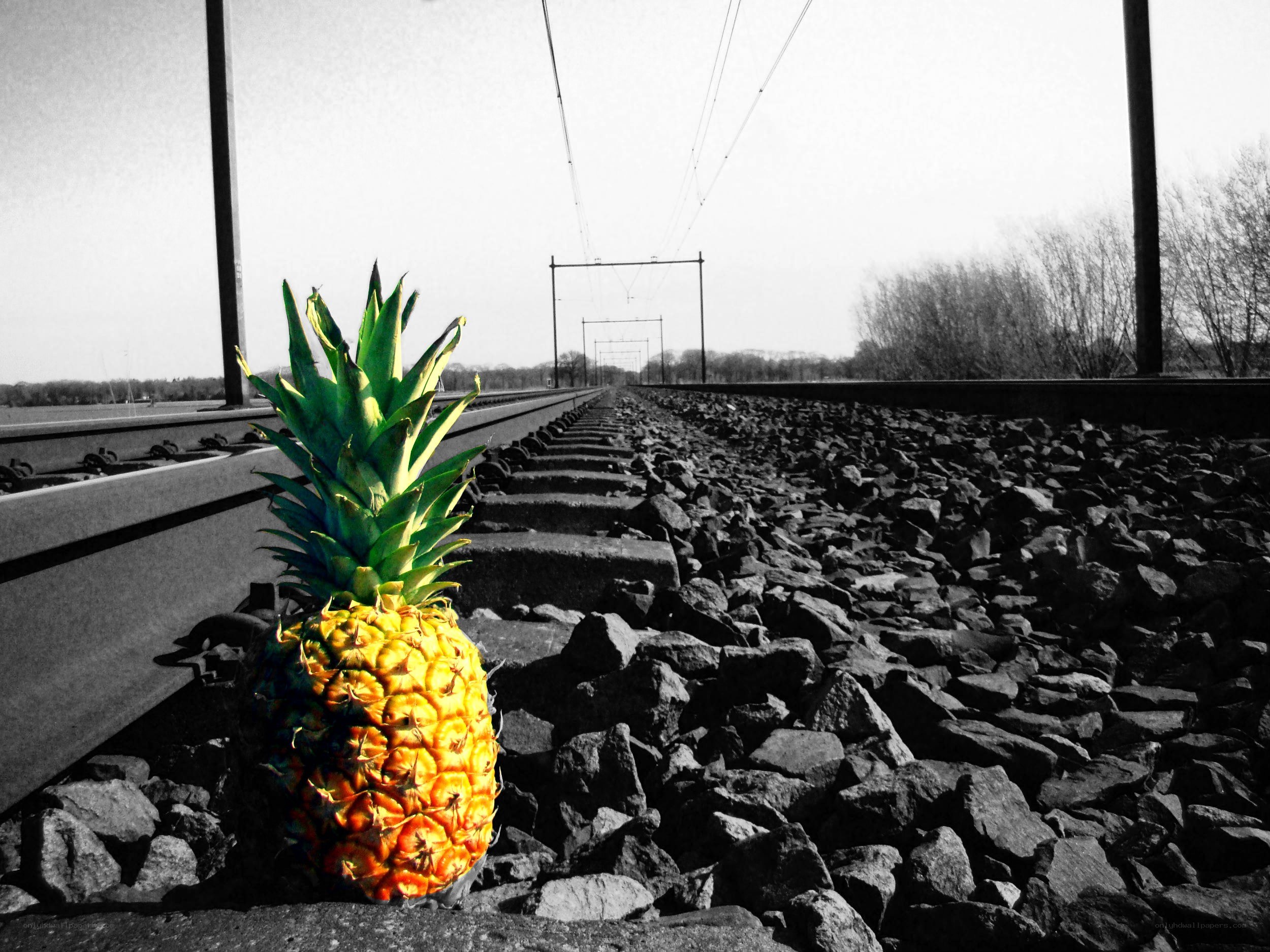 Pineapple on train tracks