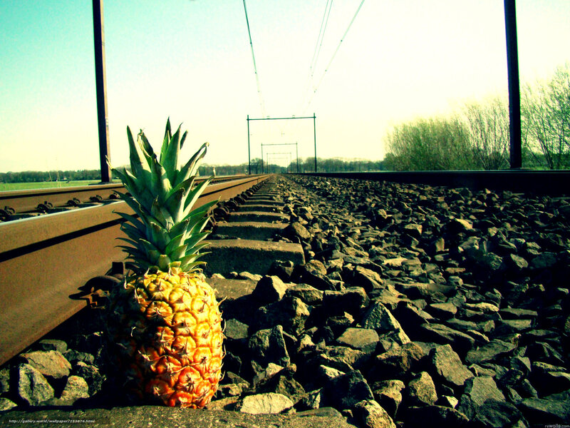 Pineapple on train tracks