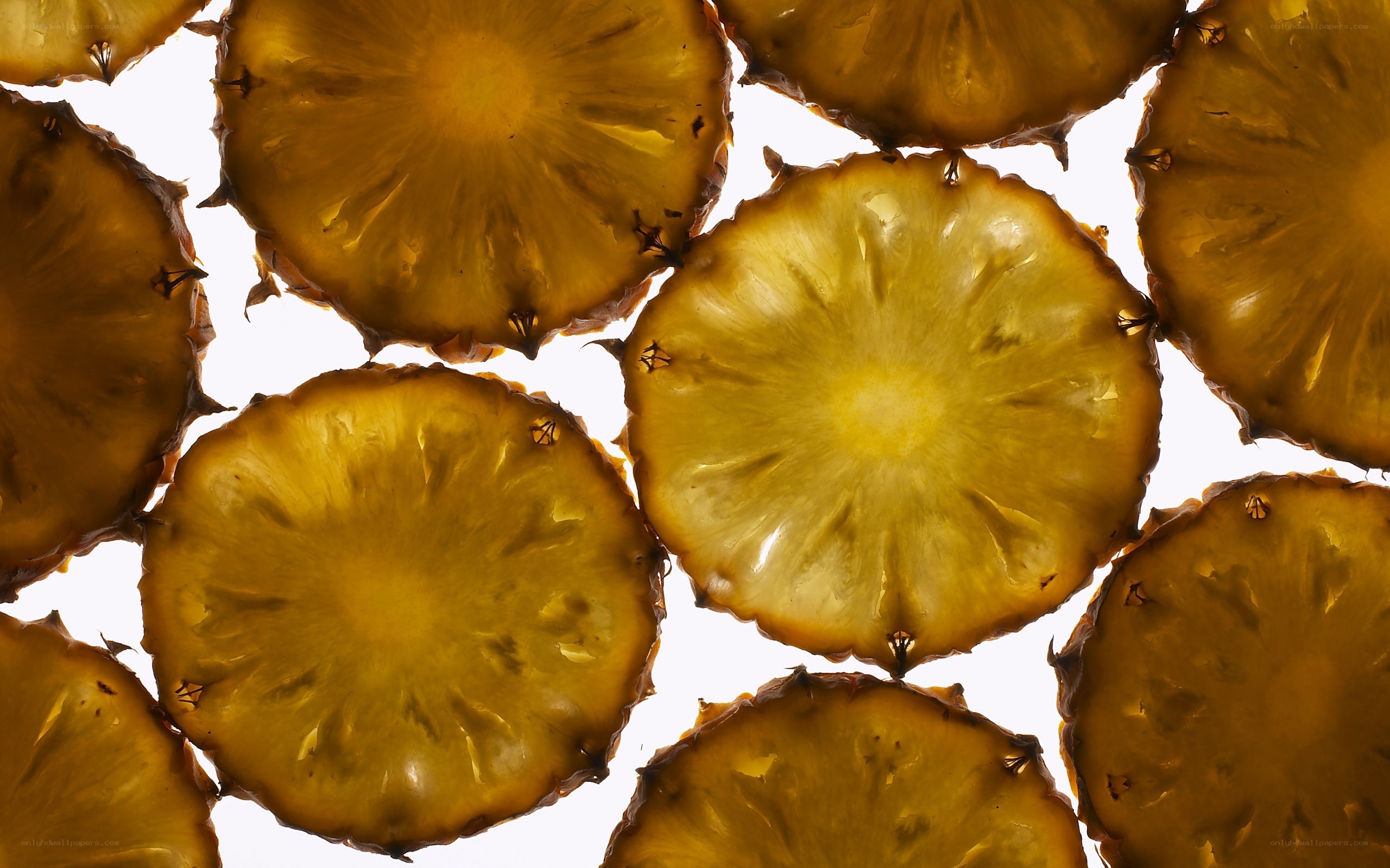 Pineapple slices in backlight