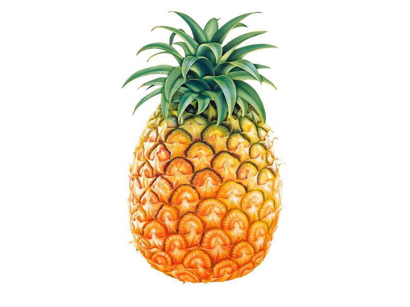 Pineapple with Green Leaves