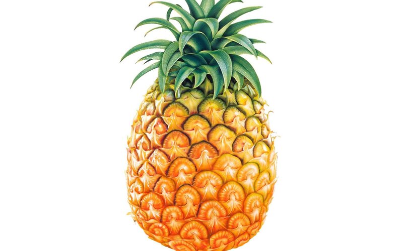 Pineapple with Green Leaves — Yellow