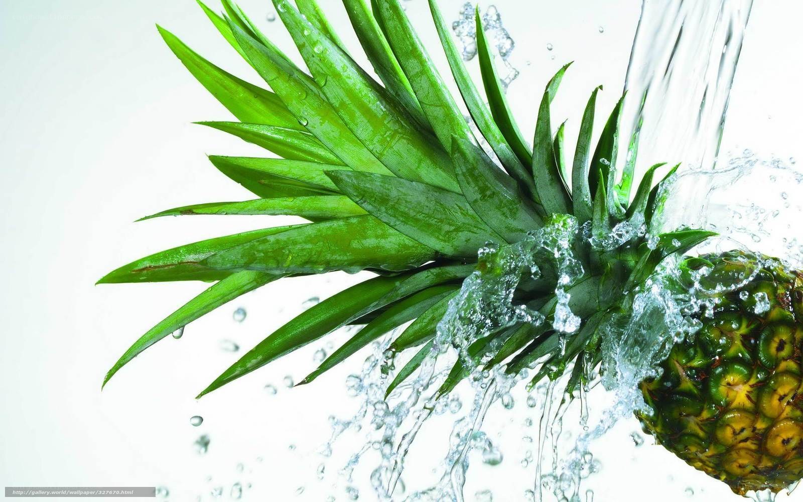 pineapple with water splash
