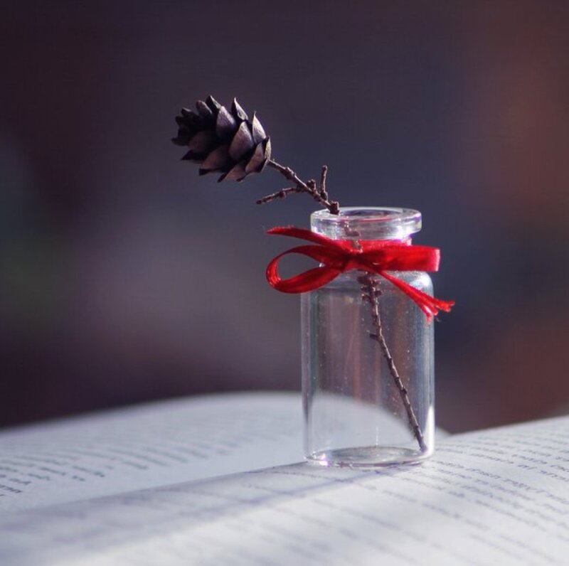 Pinecone in Glass Bottle