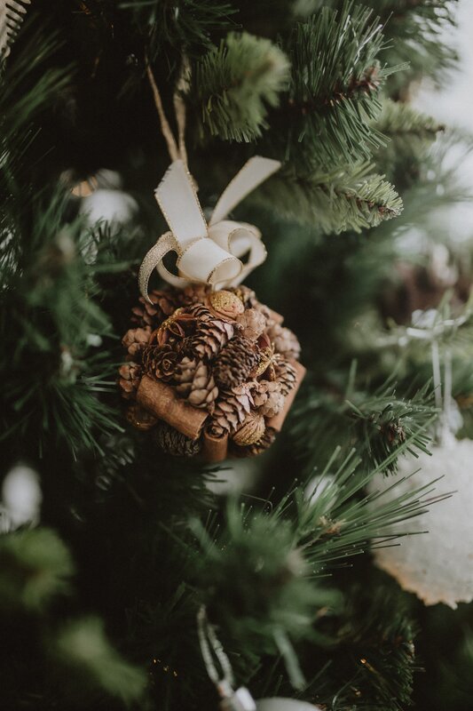 Pinecone Ornament on Tree