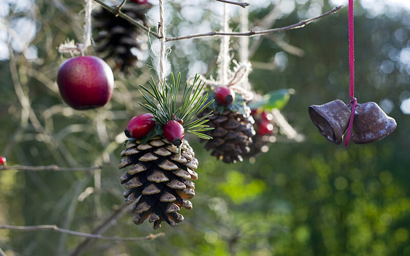 Pinecone Ornaments on Branch