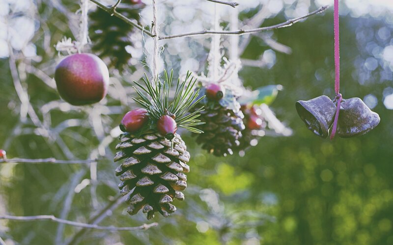 Pinecone Ornaments on Tree
