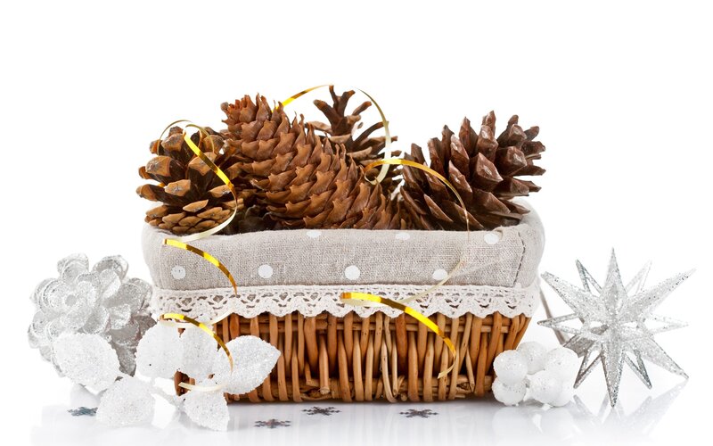 Pinecones in Basket — Brown, Festive