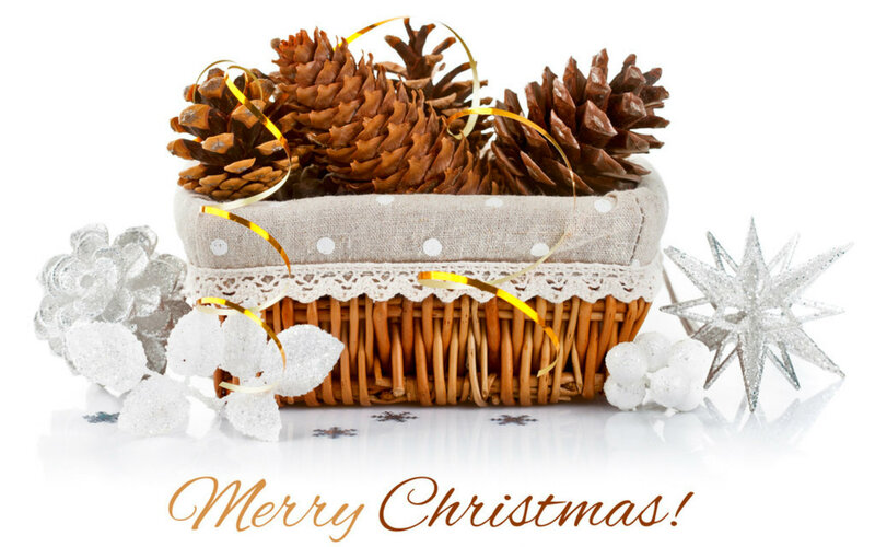 Pinecones in Basket — Brown