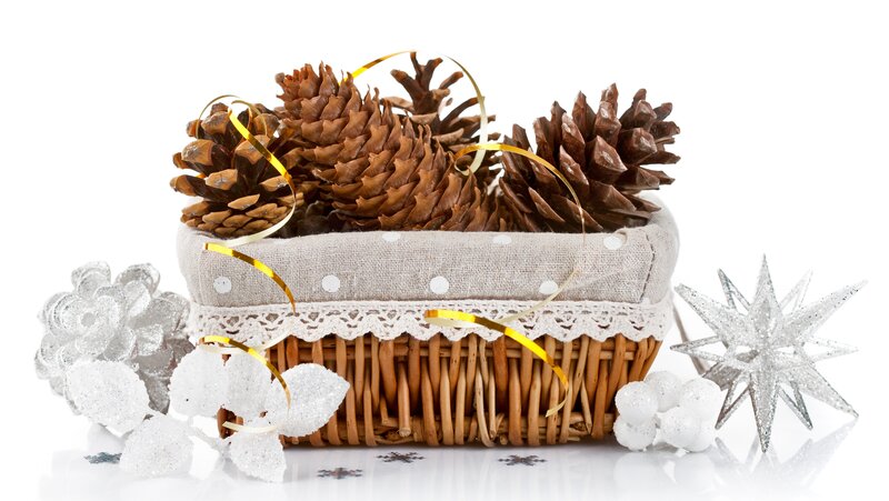 Pinecones in Basket