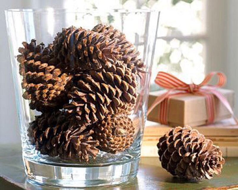 Pinecones in Glass Vase
