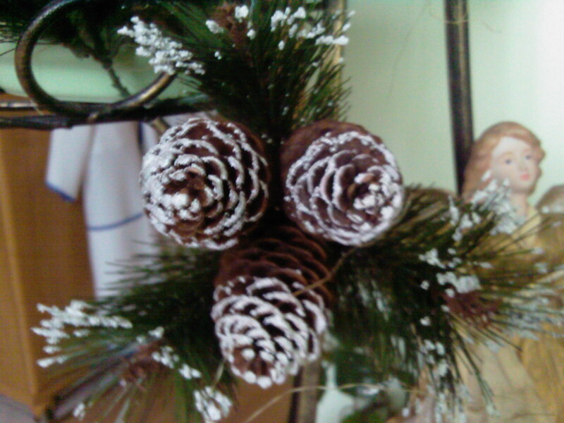 Pinecones on Evergreen Branch