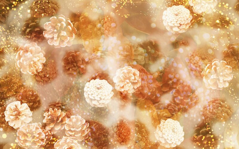 Pinecones with Bokeh Effect