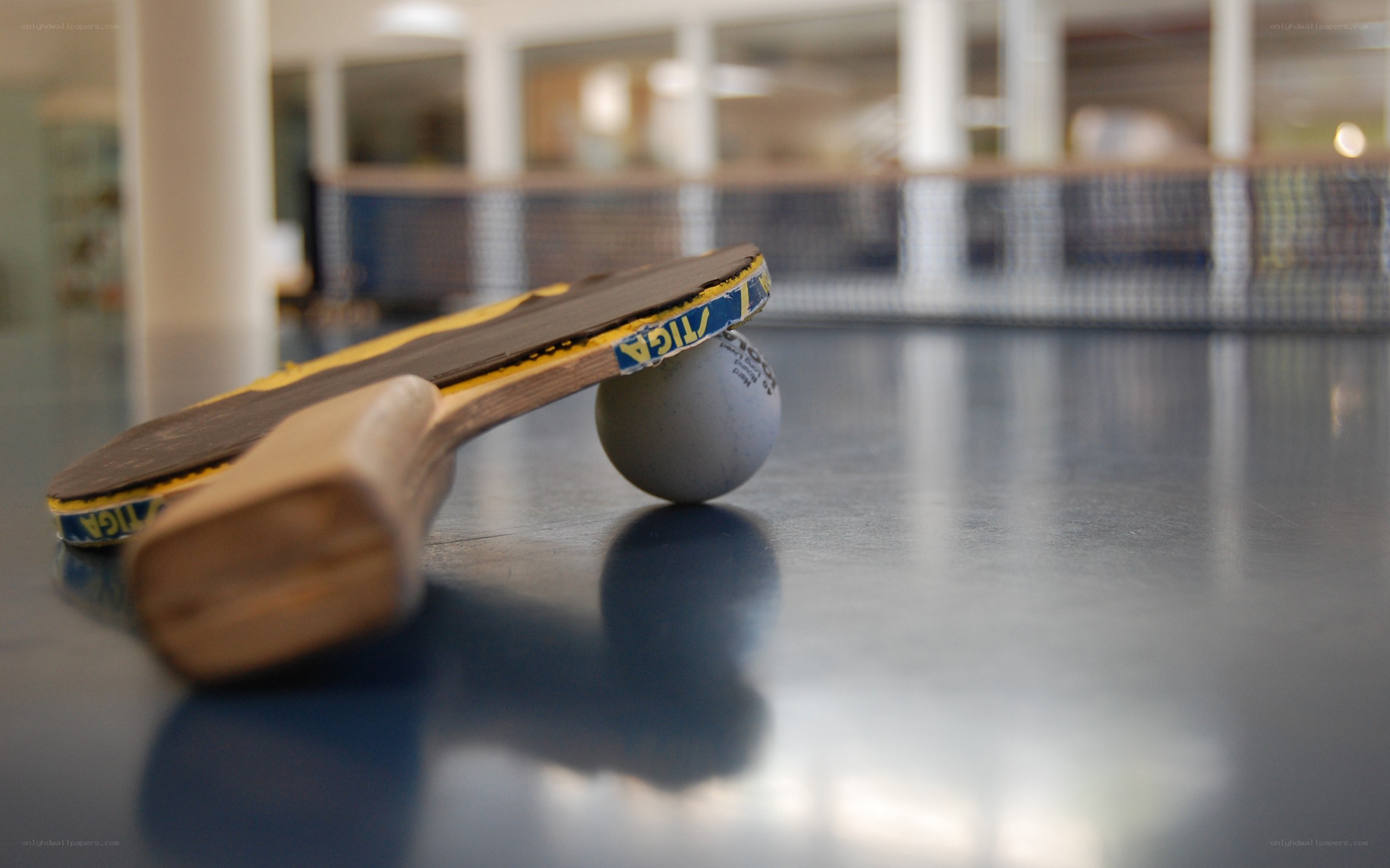 Ping pong paddle and ball