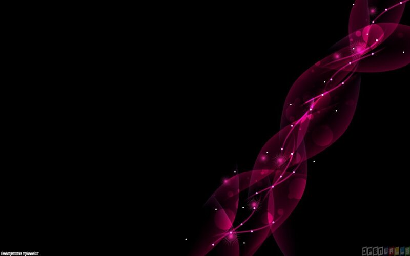 Pink Abstract Waves — Black, Dynamic