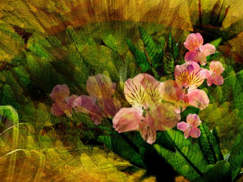 Pink Alstroemeria Flowers — Vibrant, Digital Art, Green Leaves