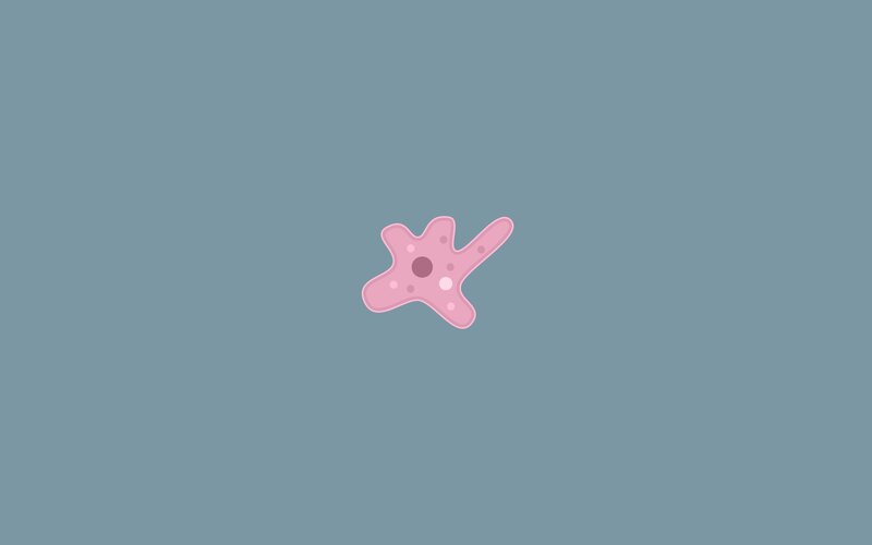 pink amoeba cell
