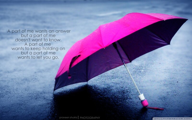Pink and Black Umbrella