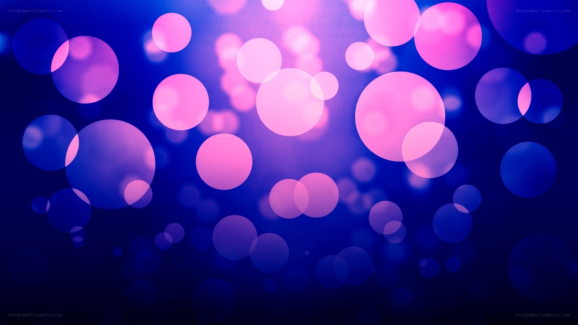 pink and blue bokeh circles