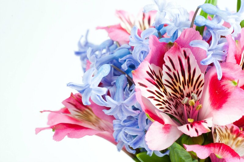 Pink and Blue Flowers — Calm, Photograph