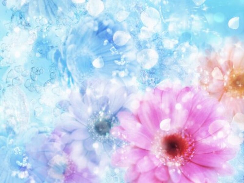 Pink and Blue Flowers — Dreamy, Digital Art, Bubbles
