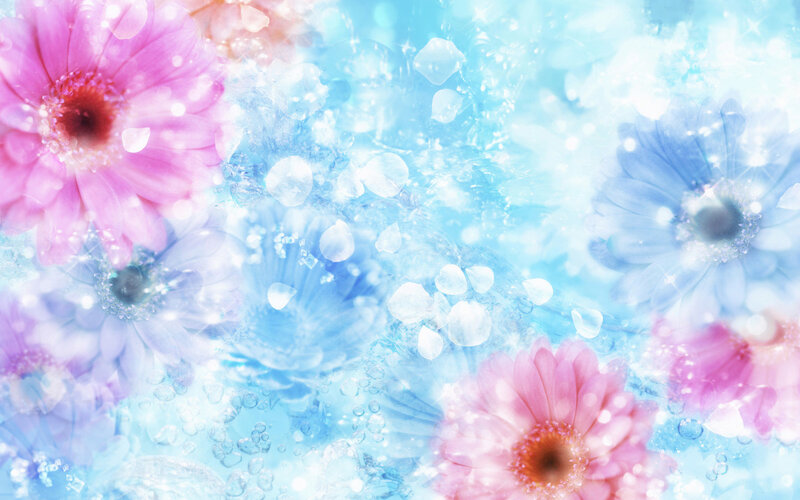 Pink and Blue Flowers — Dreamy
