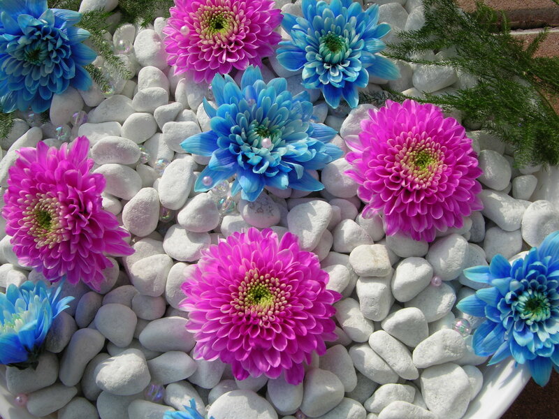 Pink and Blue Flowers