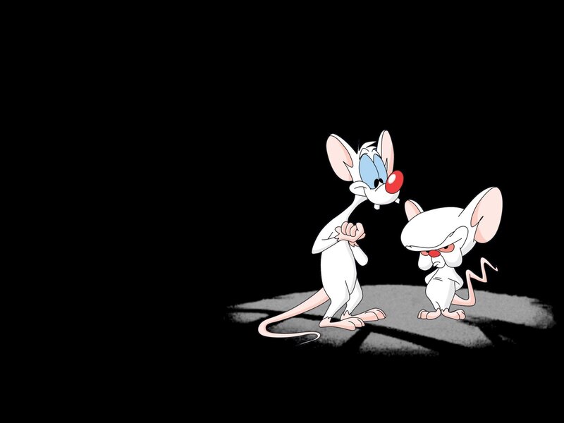 Pink and Brain in spotlight