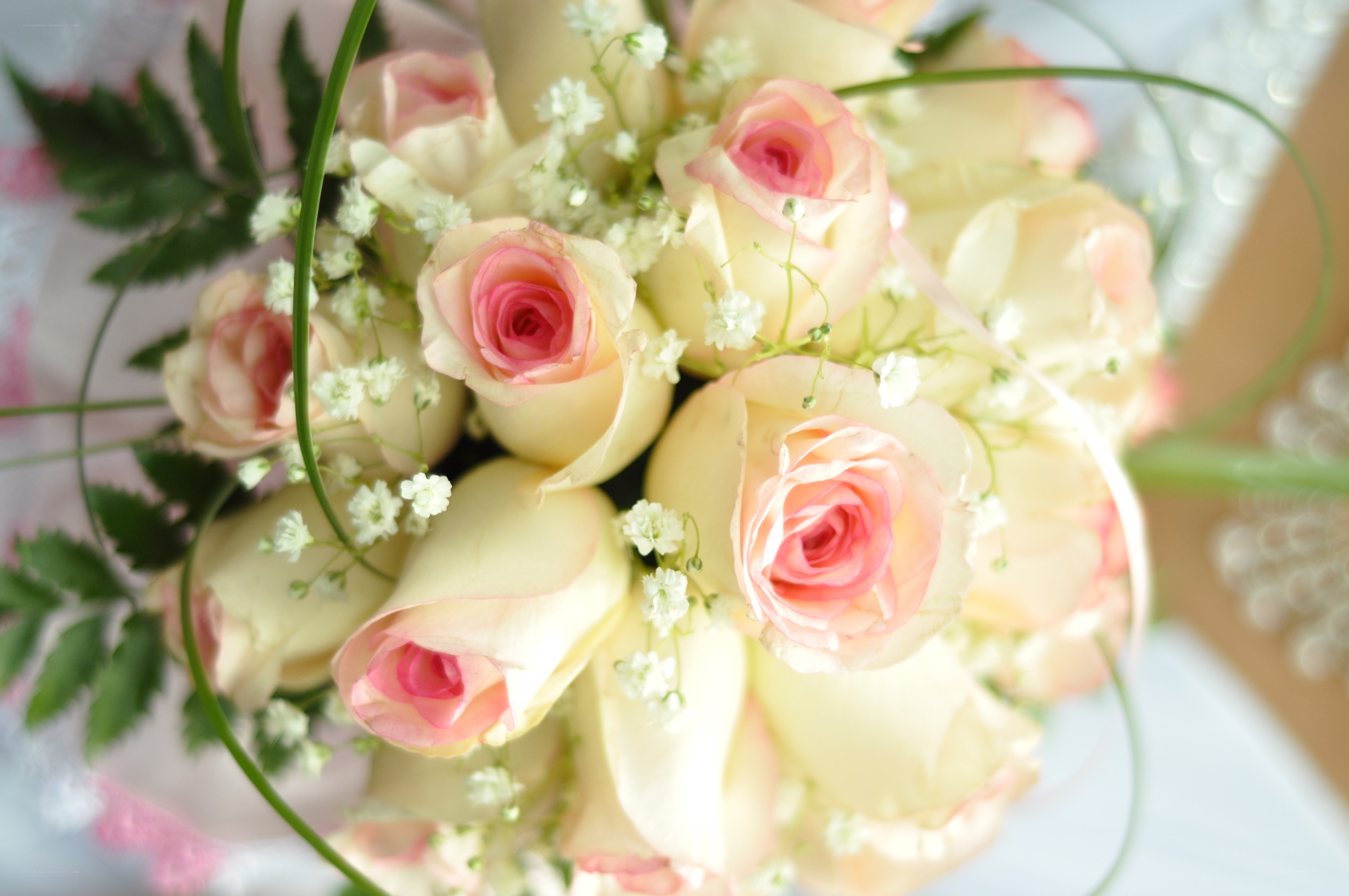 Pink and cream rose bouquet