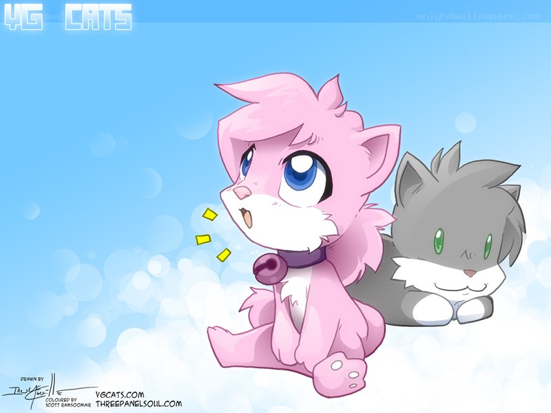 Pink and gray kitten friends