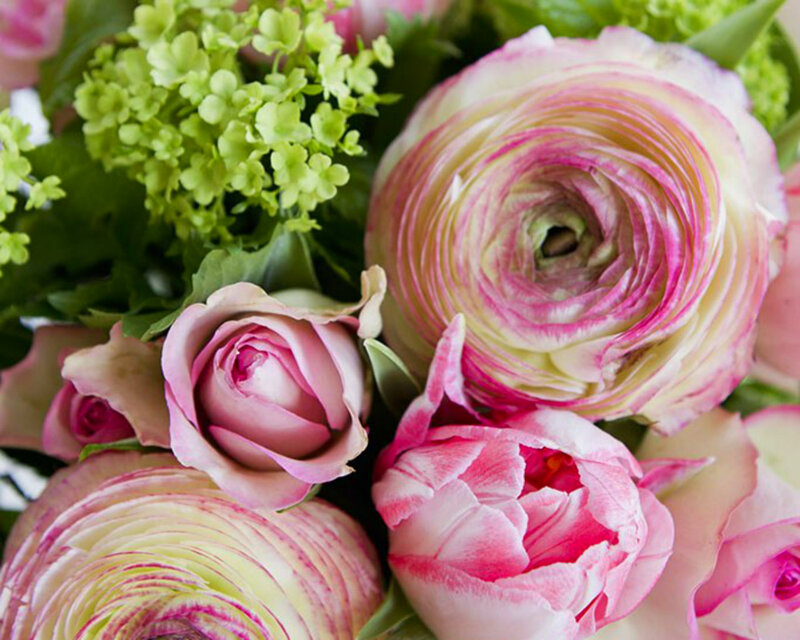 Pink and Green Flowers — Calm, Spring, Photograph