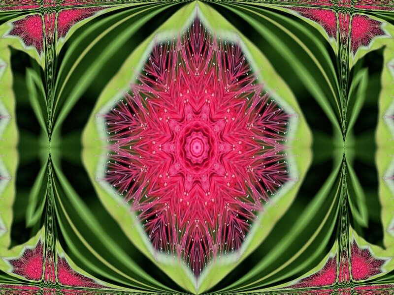 Pink and Green Fractal Pattern — Hypnotic, Digital Art