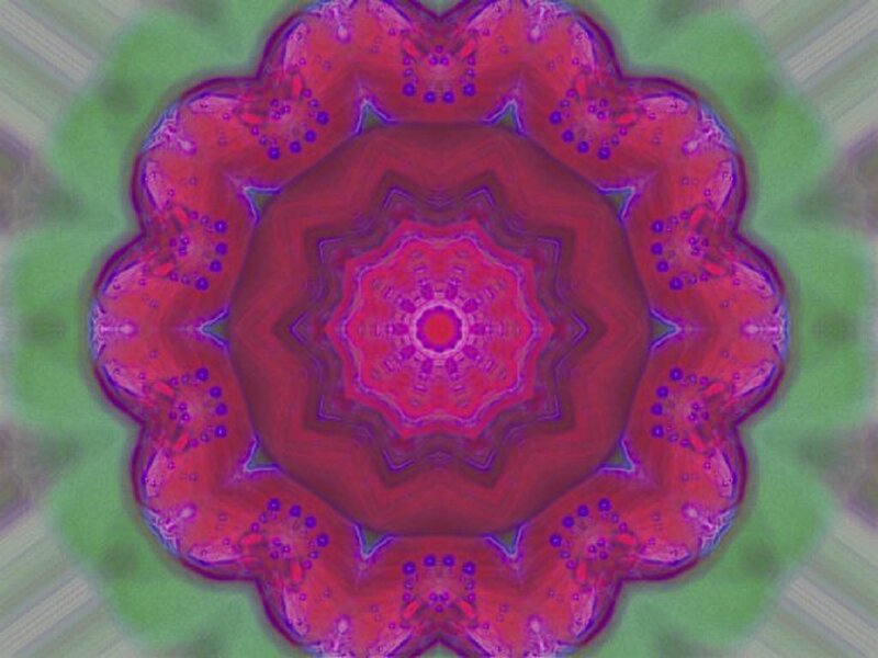 Pink and Green Mandala — Hypnotic