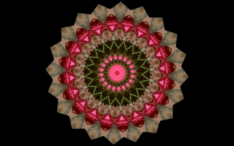 Pink and Green Mandala — Symmetrical
